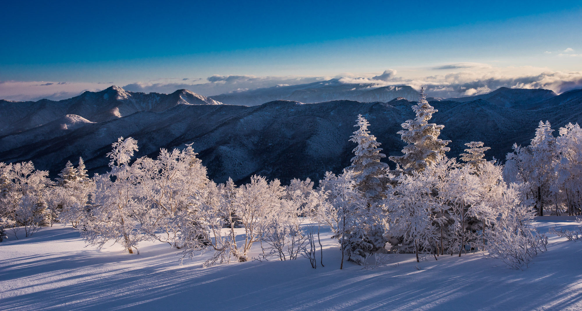 Okushiga Kogen Hotel Yamanouchi  Eksteriør billede