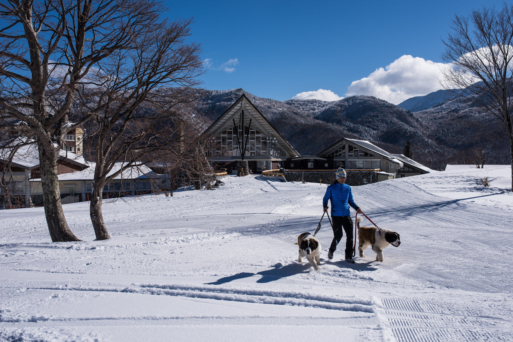 Okushiga Kogen Hotel Yamanouchi  Eksteriør billede