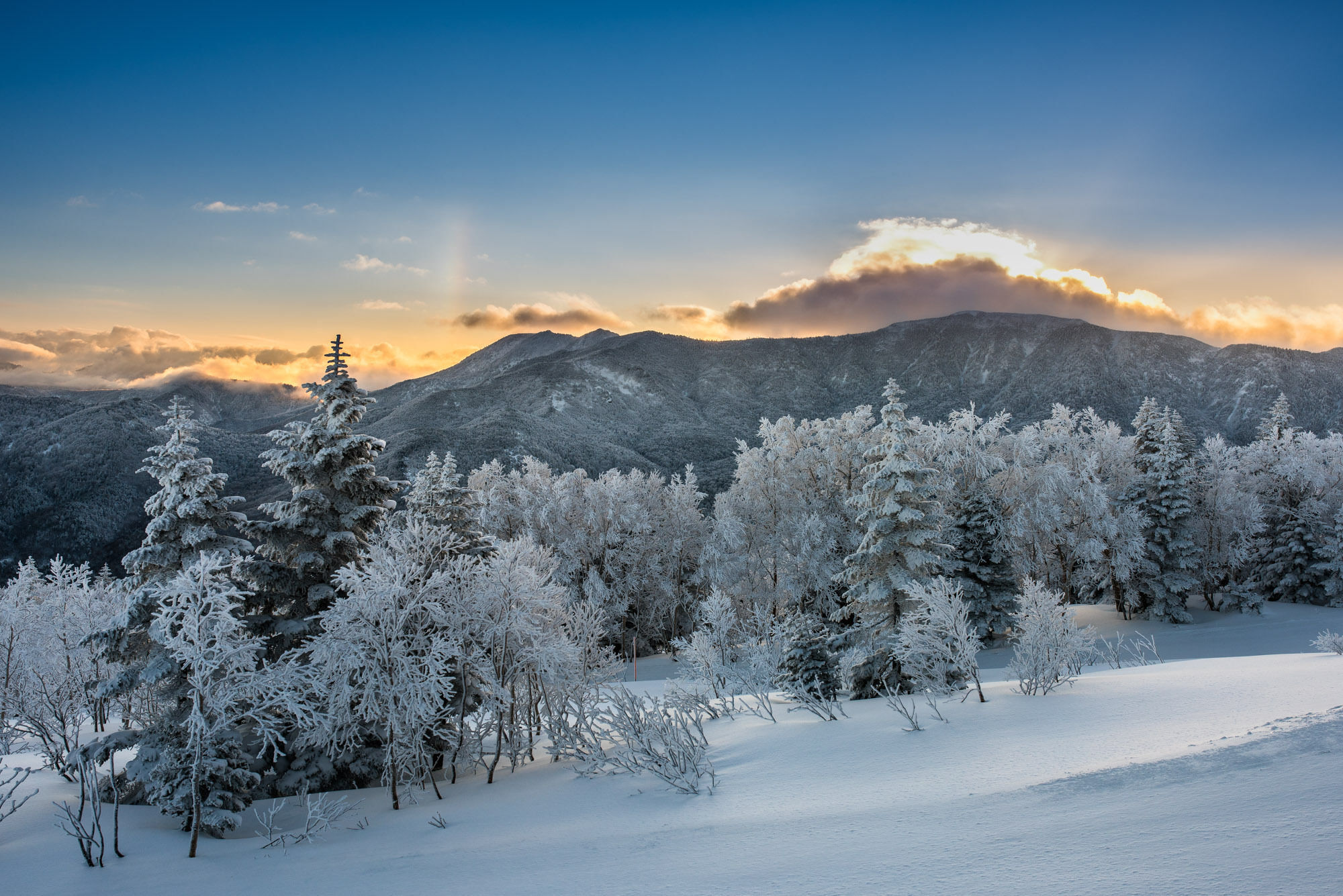 Okushiga Kogen Hotel Yamanouchi  Eksteriør billede
